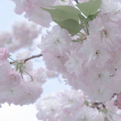 Furry插画光影技巧兽圈群